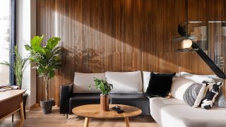 カフェの色彩検討